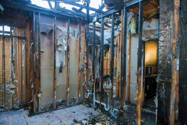 Professional Soot Cleanup technician working in Bloomington, TX